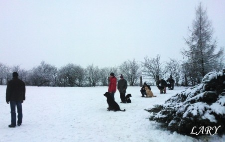 Výcvik_únor 2013_1