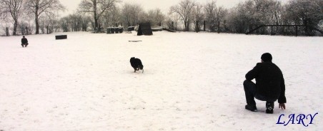 Výcvik_únor 2013_2