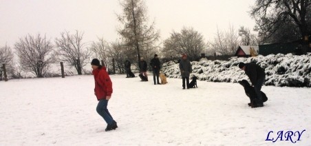 Výcvik_únor 2013_3