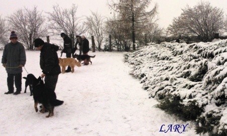 Výcvik_únor 2013_4