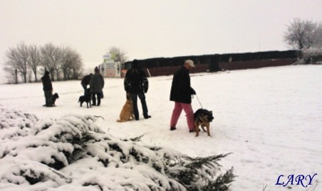 Výcvik_únor 2013_5