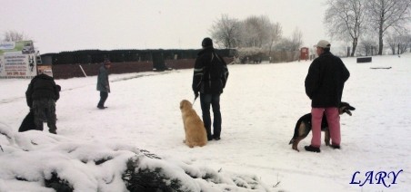 Výcvik_únor 2013_6