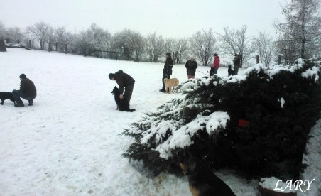 Výcvik_únor 2013_7