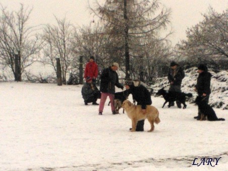 Výcvik_únor 2013_9