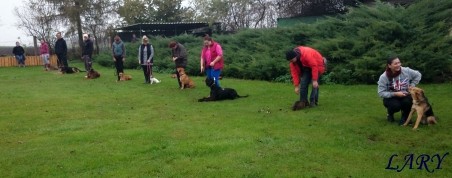 Výcvik_listopad 2014