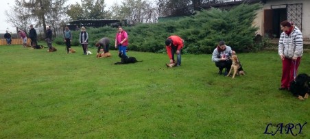 Výcvik_listopad 2014